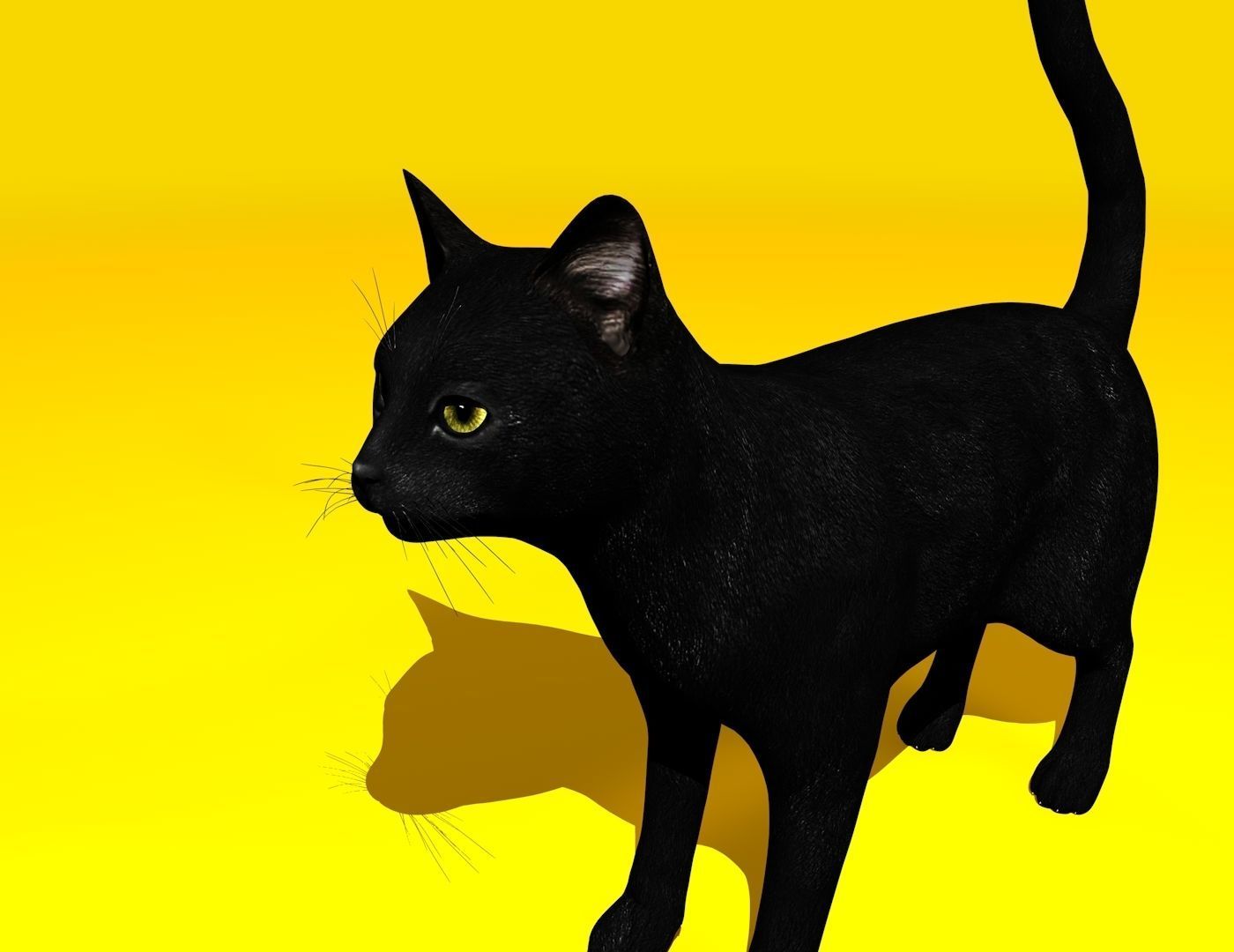 Cat Rigged and GIFT Low-poly 3D model_30