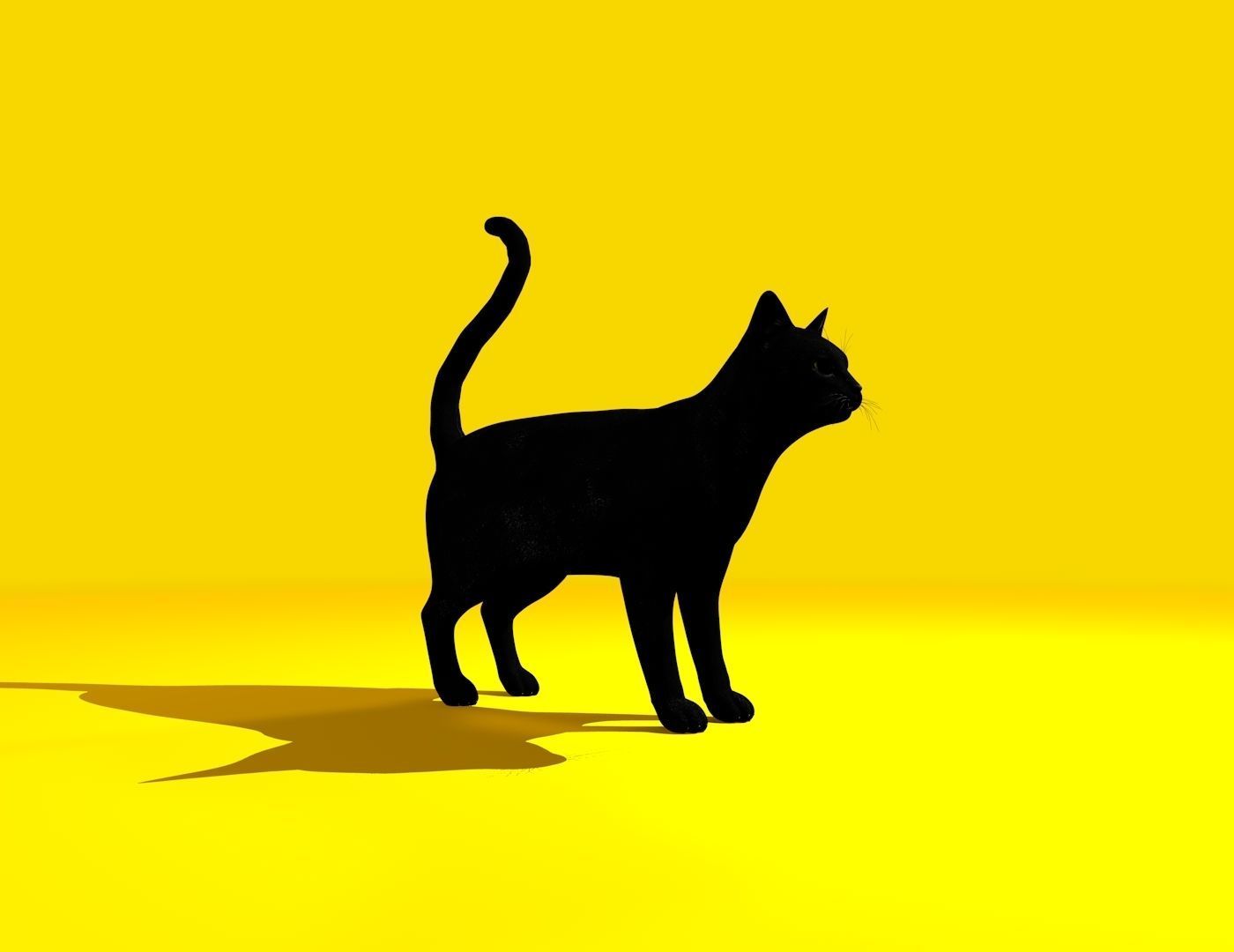 Cat Rigged and GIFT Low-poly 3D model_10