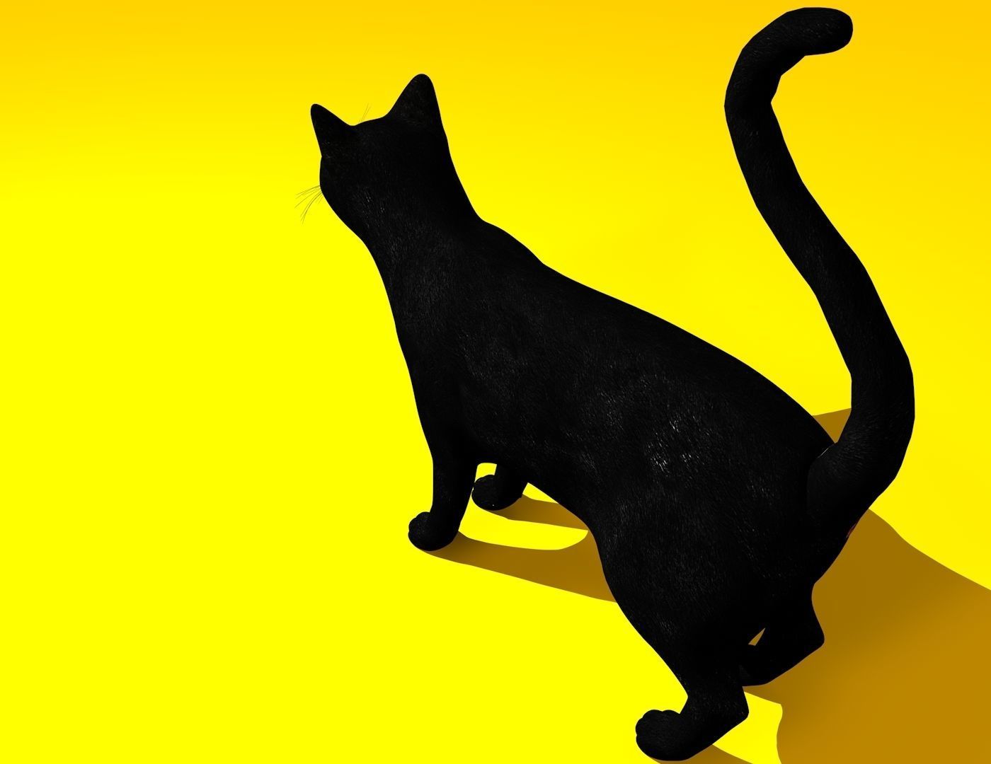 Cat Rigged and GIFT Low-poly 3D model_19