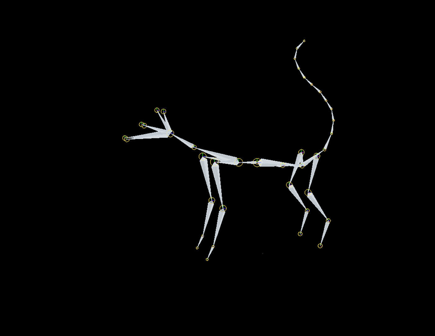 Cat Rigged and GIFT Low-poly 3D model_5