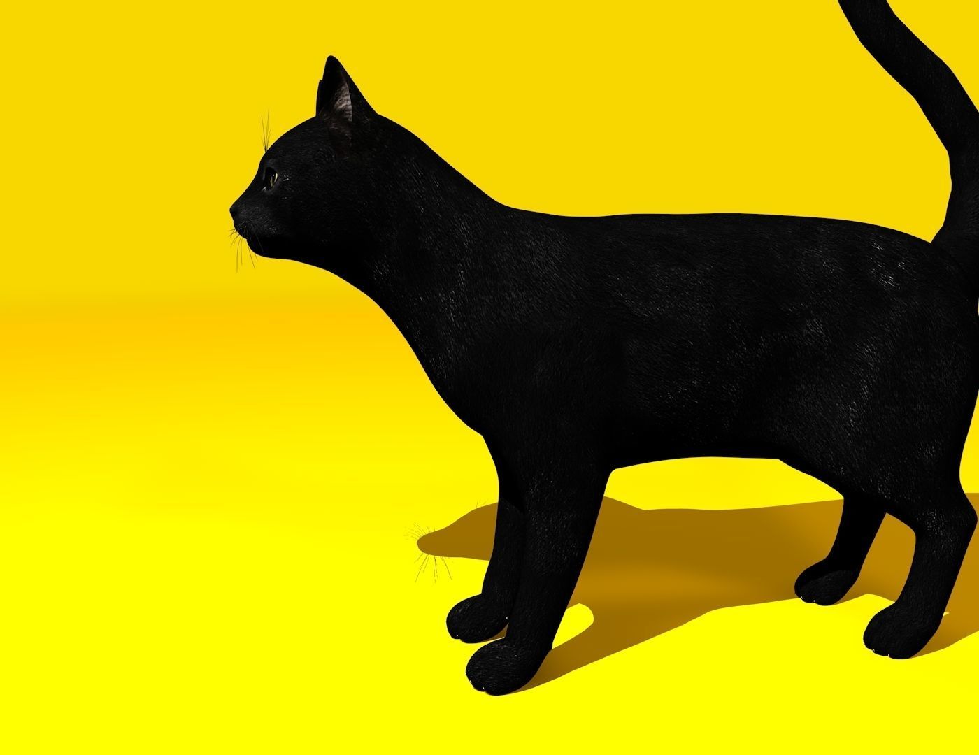 Cat Rigged and GIFT Low-poly 3D model_21