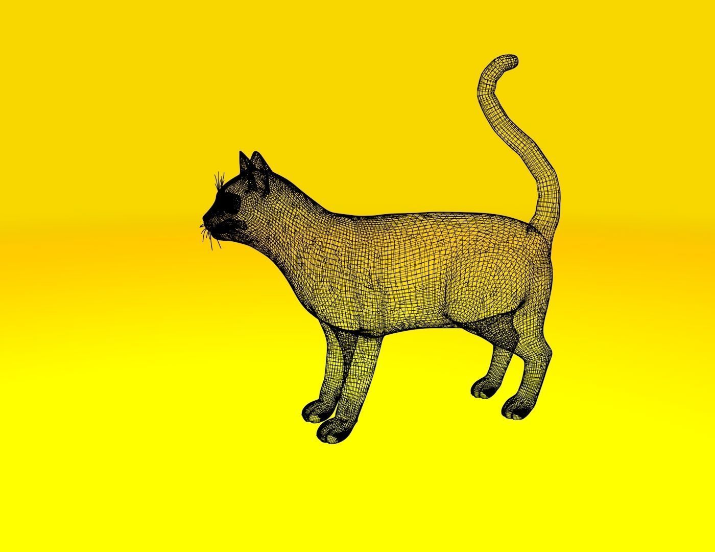 Cat Rigged and GIFT Low-poly 3D model_7