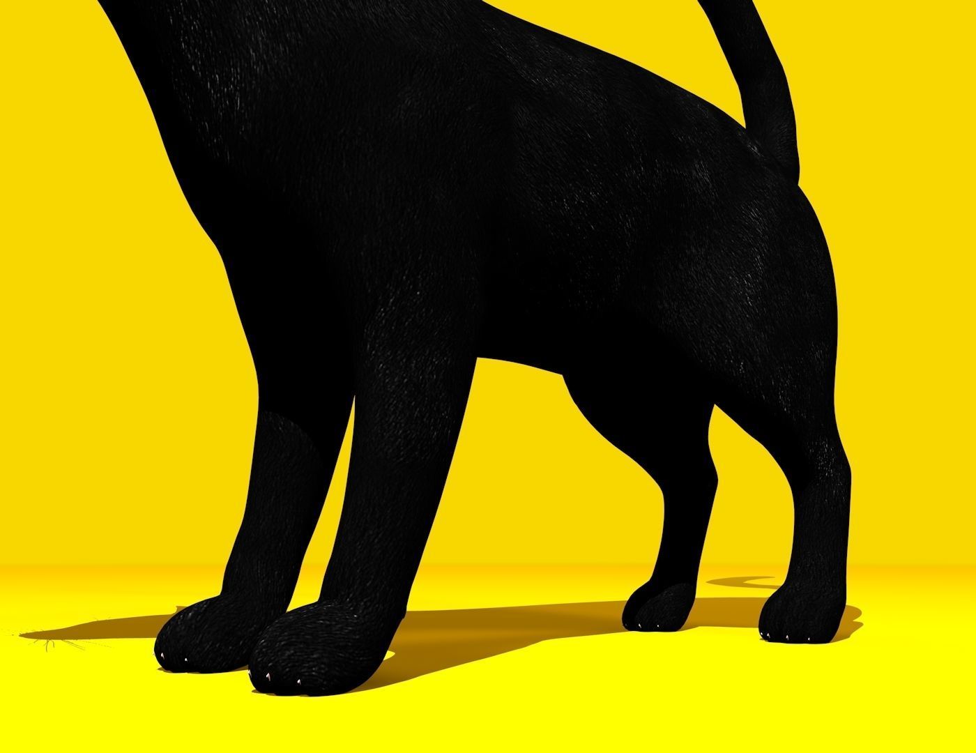 Cat Rigged and GIFT Low-poly 3D model_23