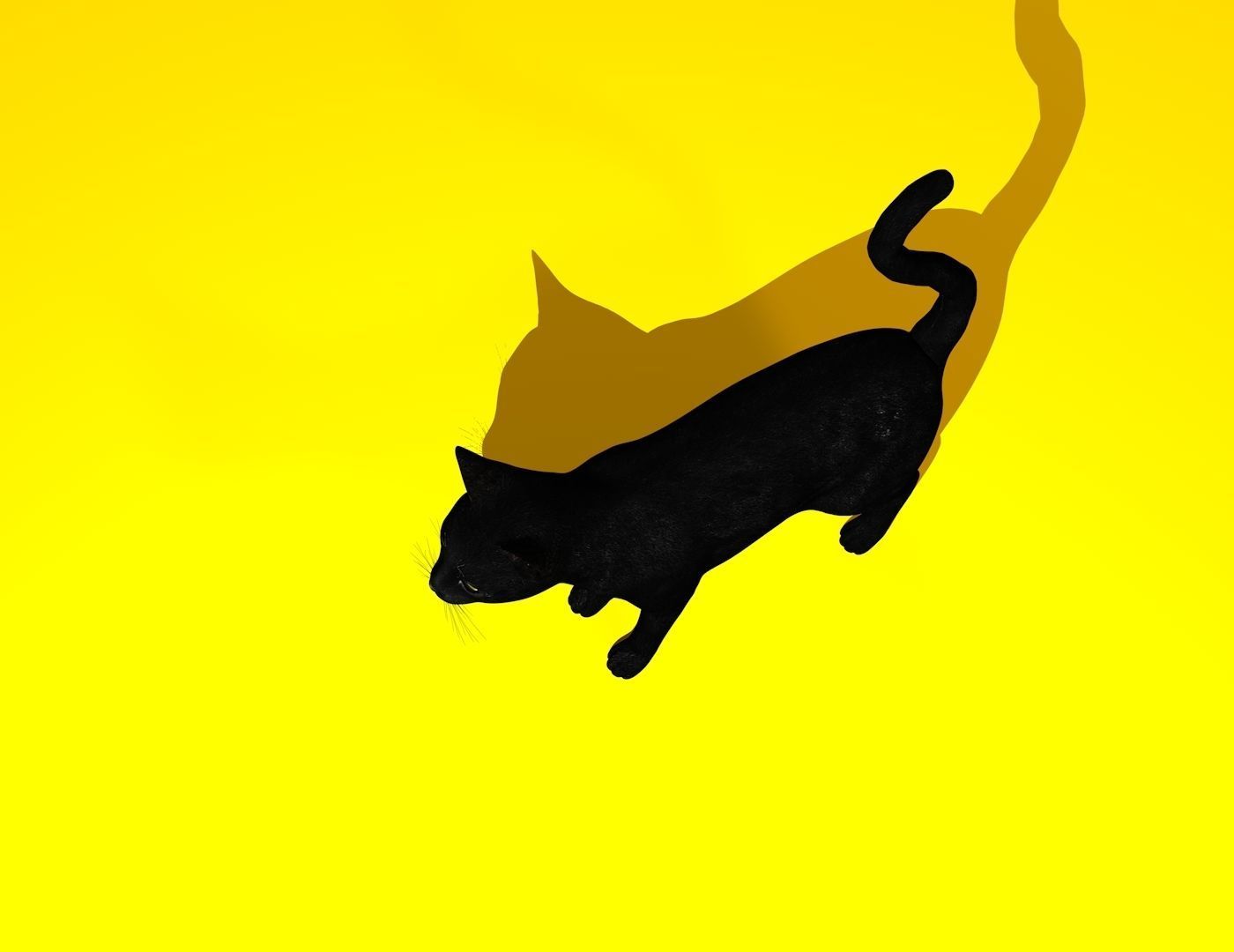 Cat Rigged and GIFT Low-poly 3D model_29