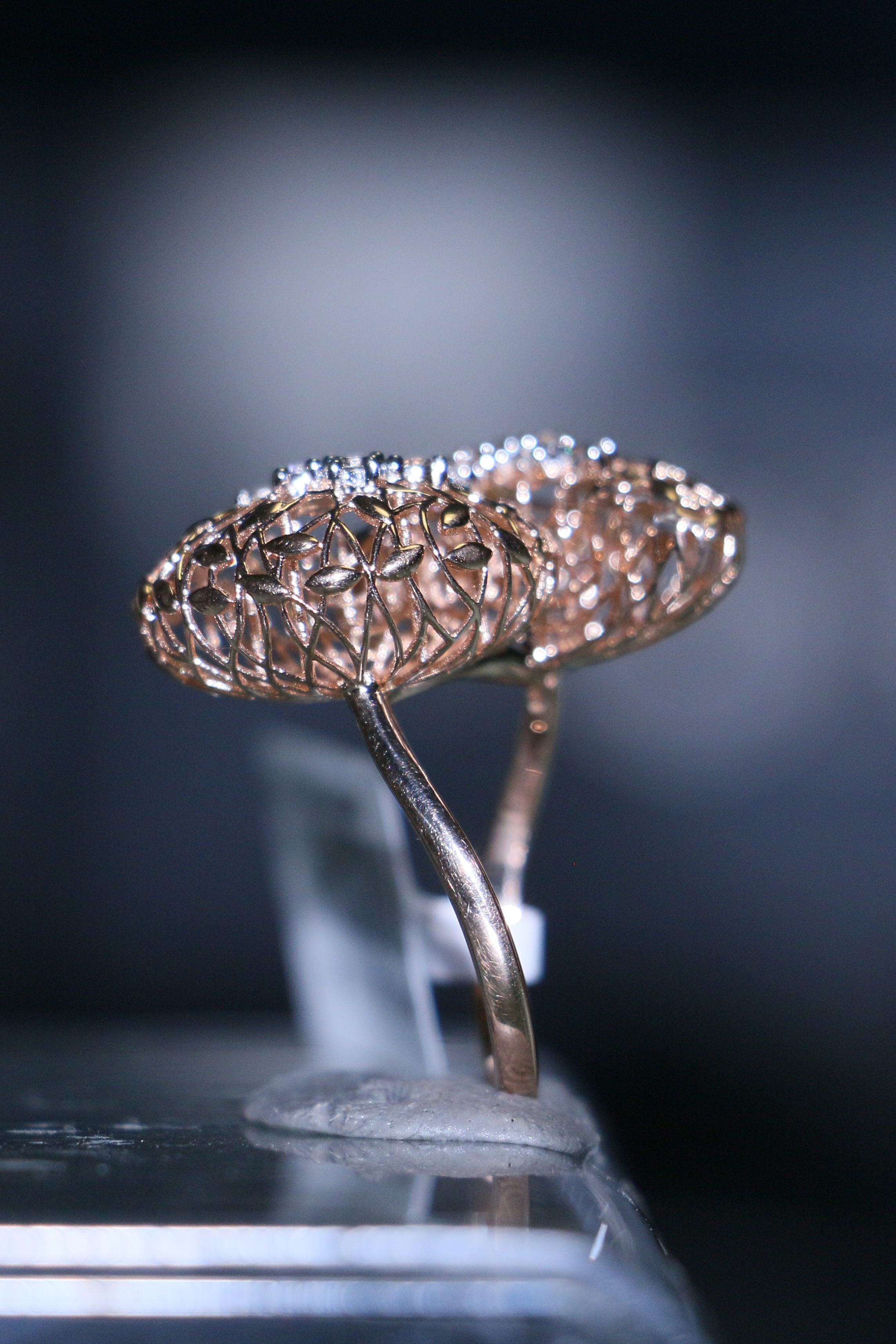 Bodhi Root Ring 3D print model_13