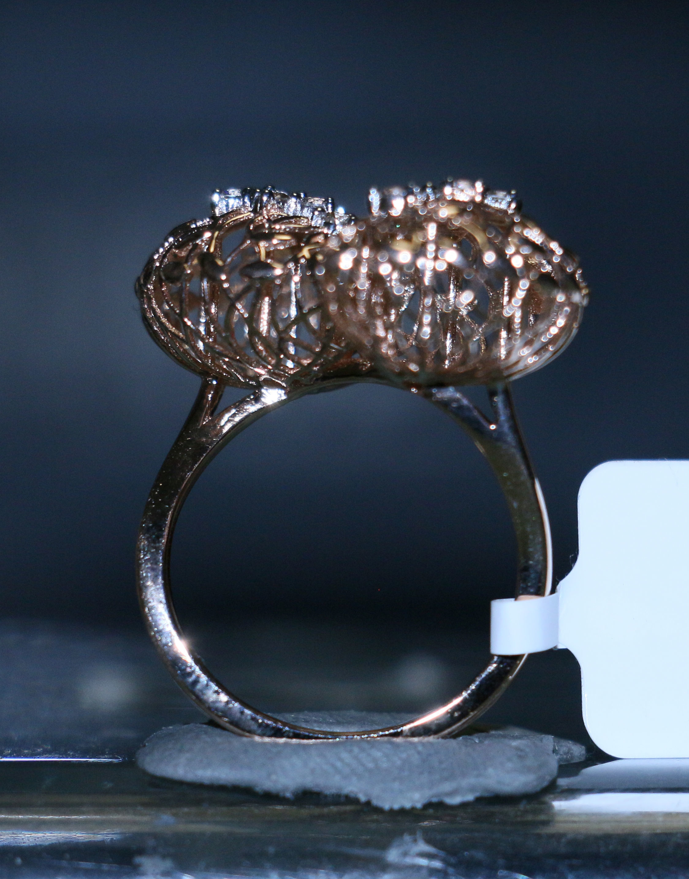 Bodhi Root Ring 3D print model_14