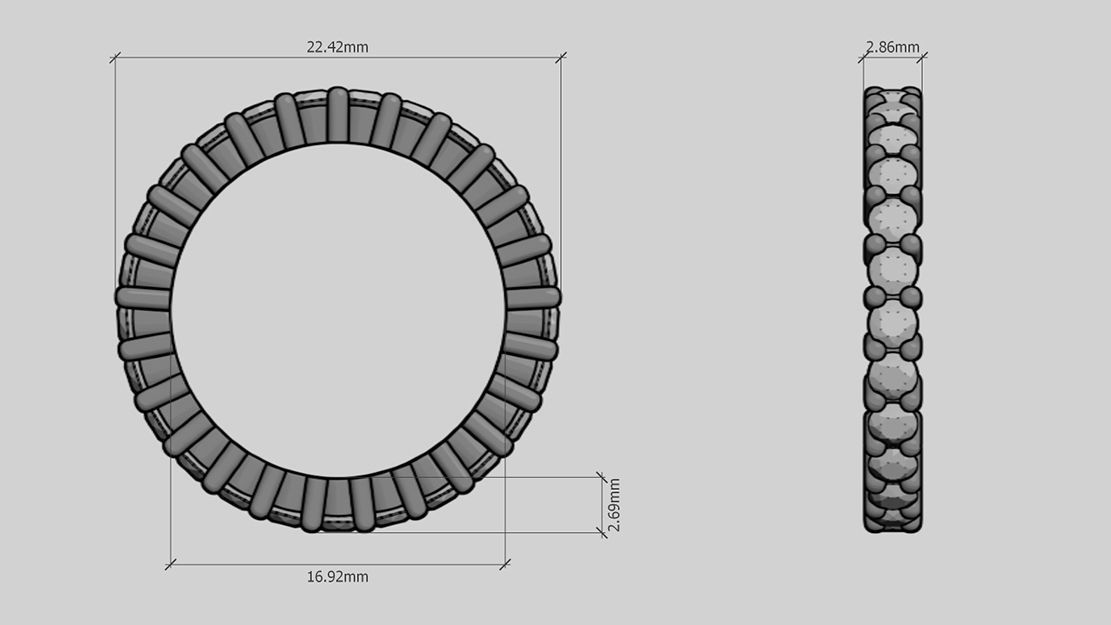 Touch Of Paradise Eternity Band 3D print model_2