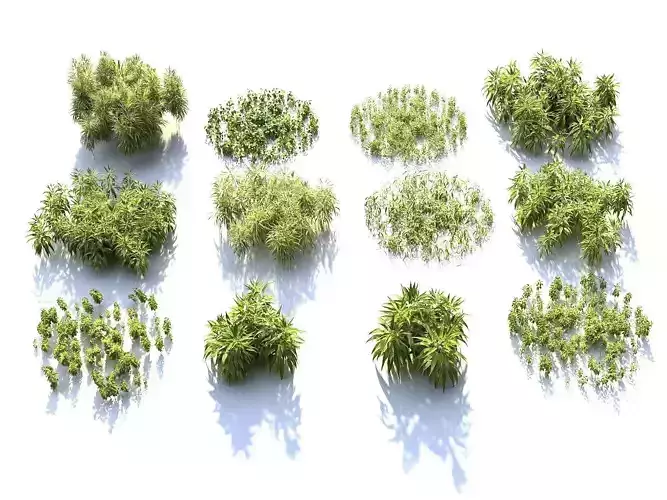 Plants of bushes HD 3D model