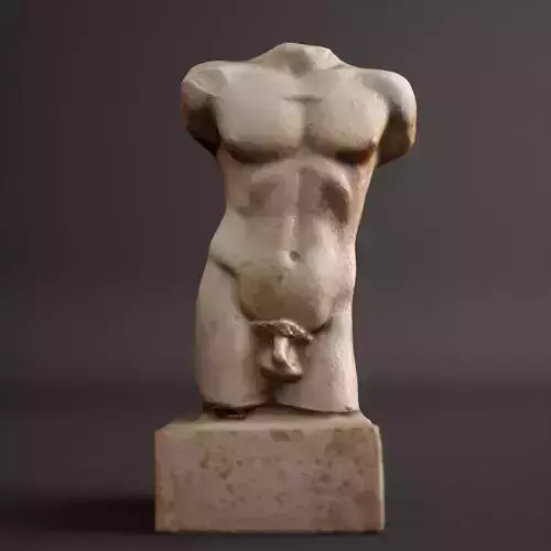 Greek Torso