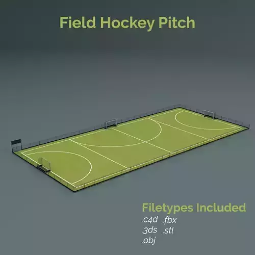 Field Hockey Training Pitch 3D model