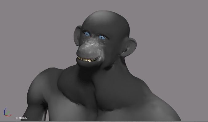 chimpanzee animated Free 3D model