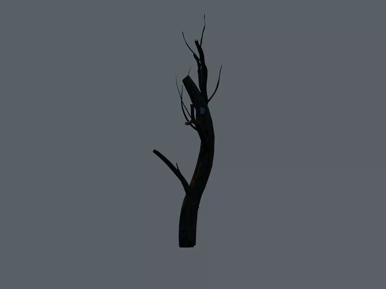 Branch dead tree Free 3D model