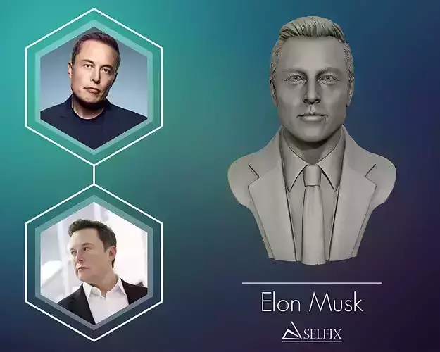 Elon Musk 3D bust sculpture 3D print model