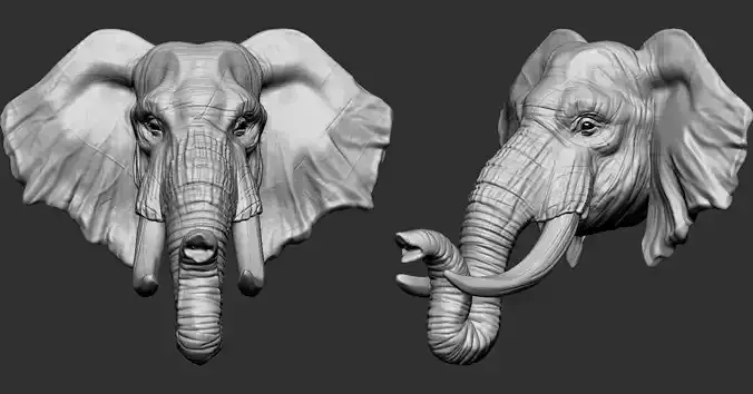 Elephant head with tusks 3D print model