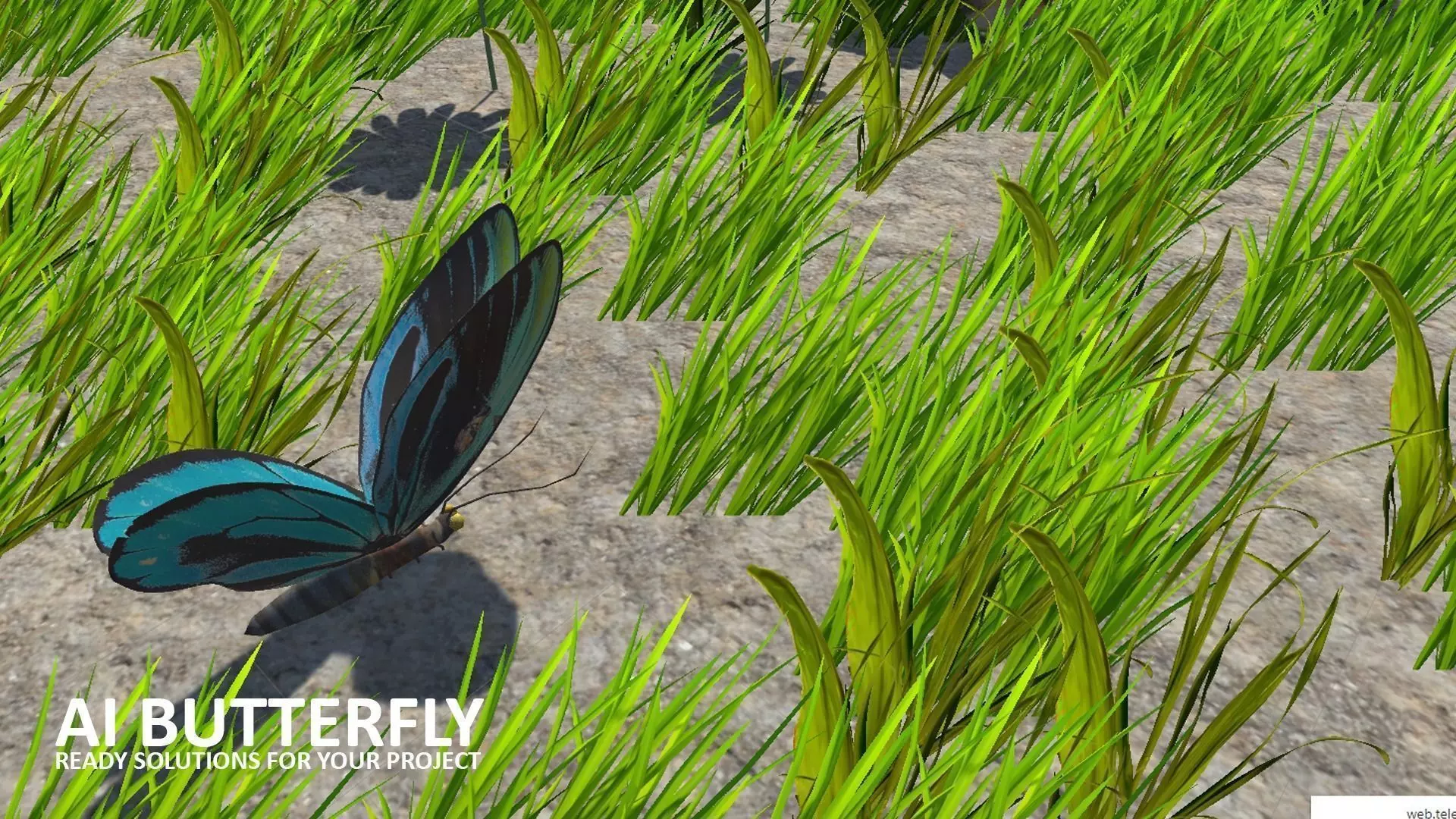 AI butterfly for Unity Low-poly 3D model_0