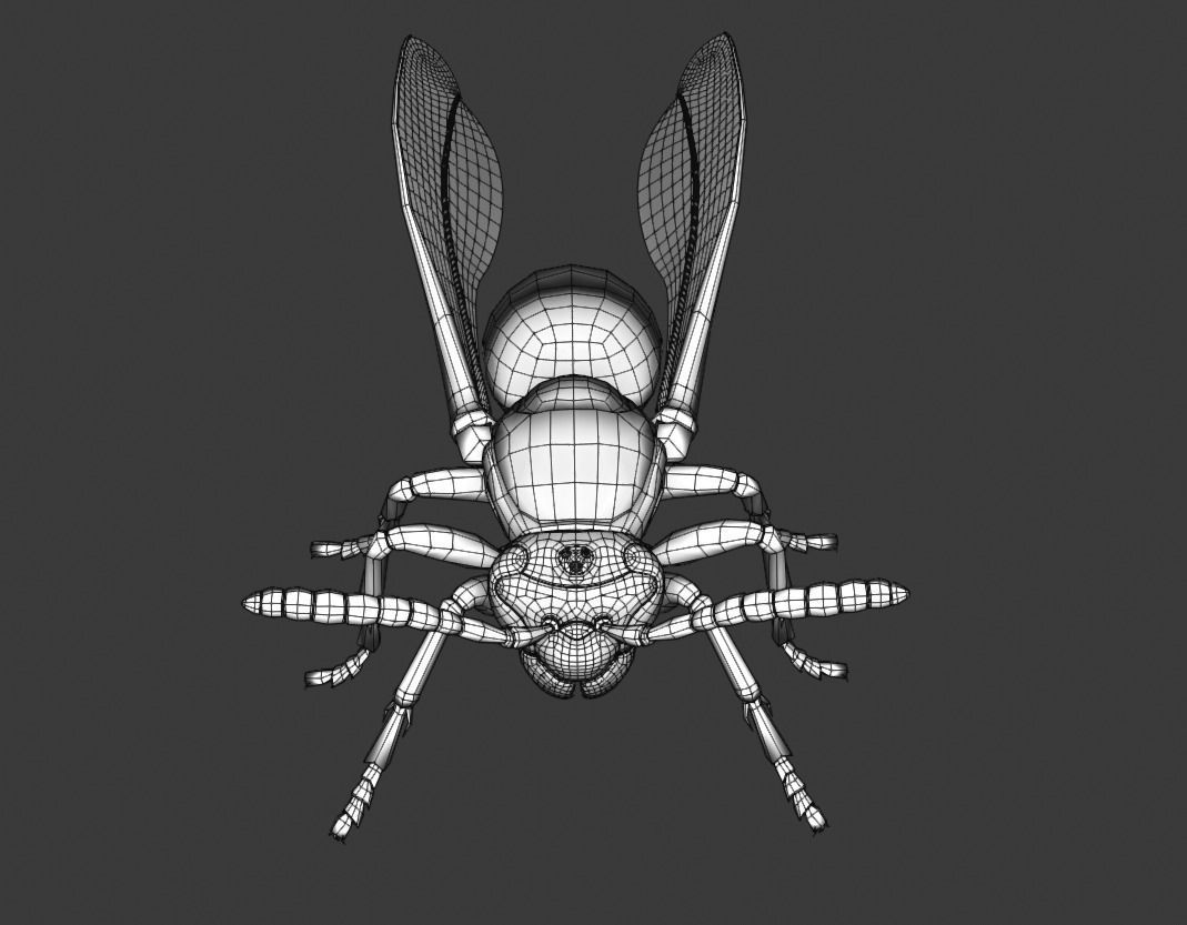 Wasp Insect Low-poly 3D model_50