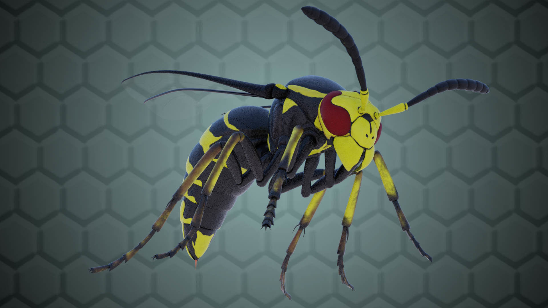 Wasp Insect Low-poly 3D model_14