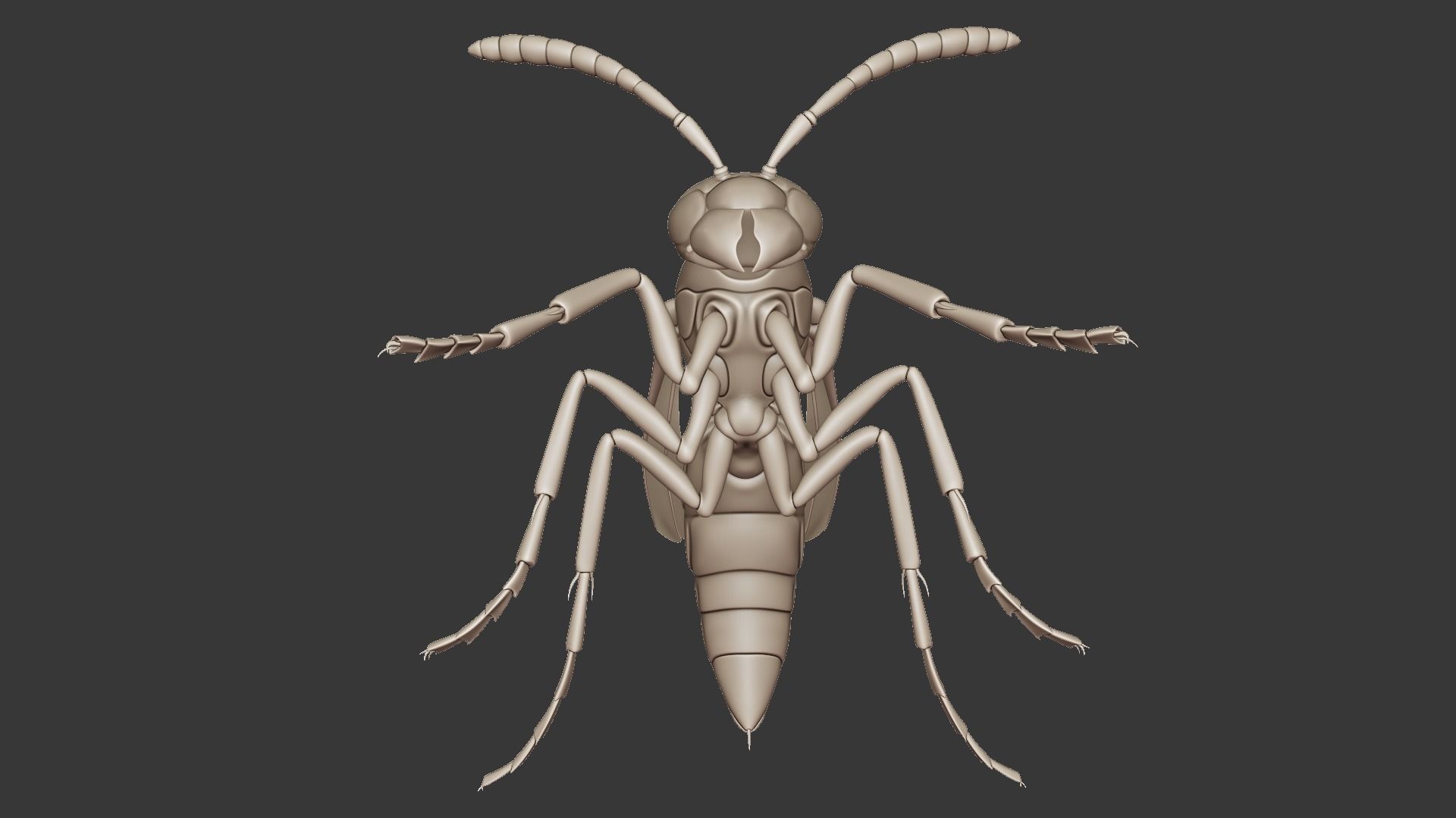 Wasp Insect Low-poly 3D model_31