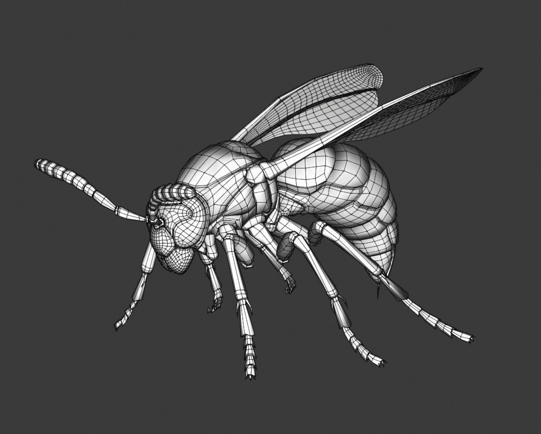 Wasp Insect Low-poly 3D model_46