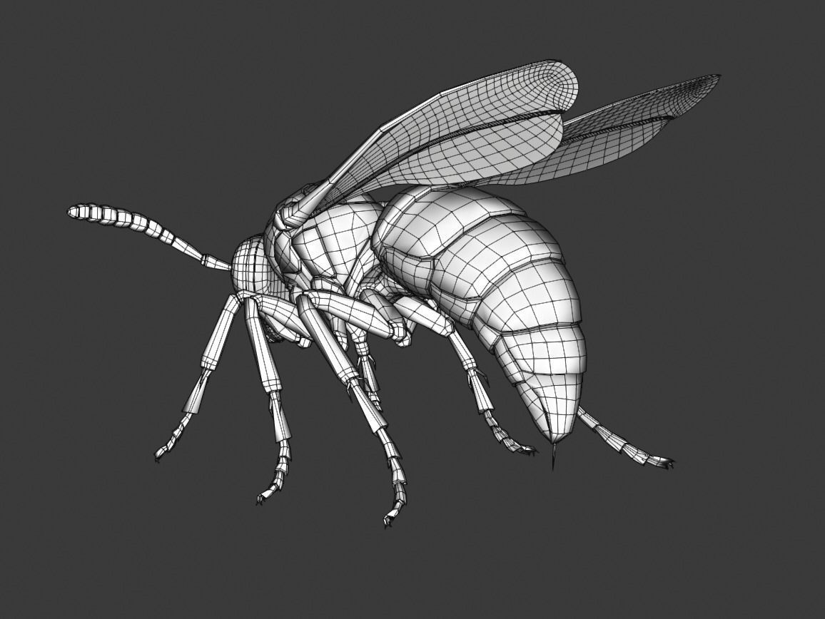 Wasp Insect Low-poly 3D model_44