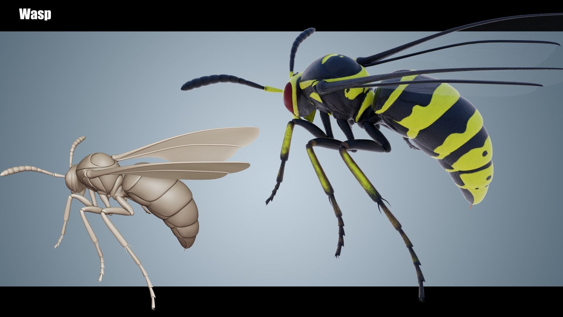 Wasp Insect Low-poly 3D model_2