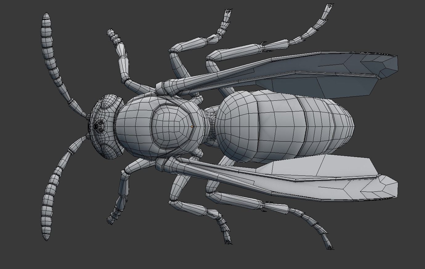 Wasp Insect Low-poly 3D model_27