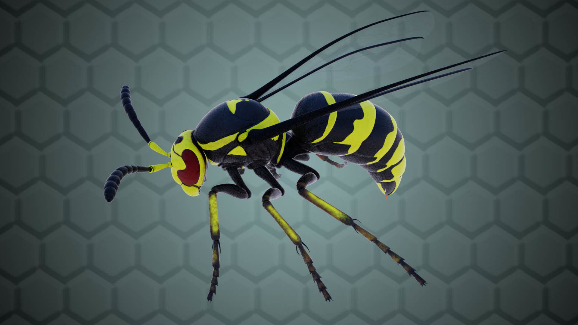 Wasp Insect Low-poly 3D model_15