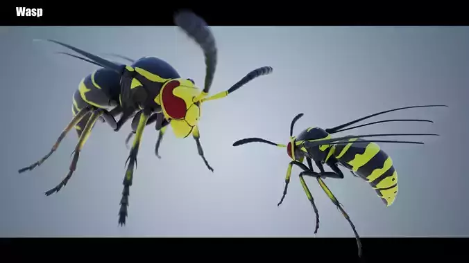 Wasp Insect Low-poly 3D model