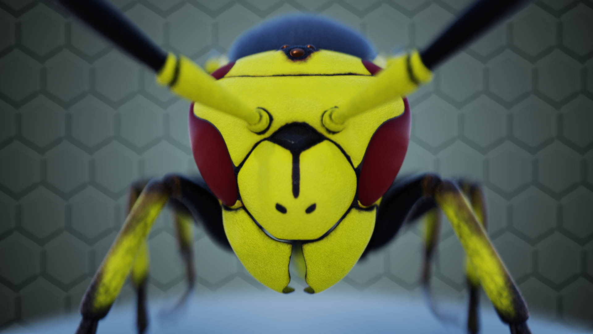 Wasp Insect Low-poly 3D model_17