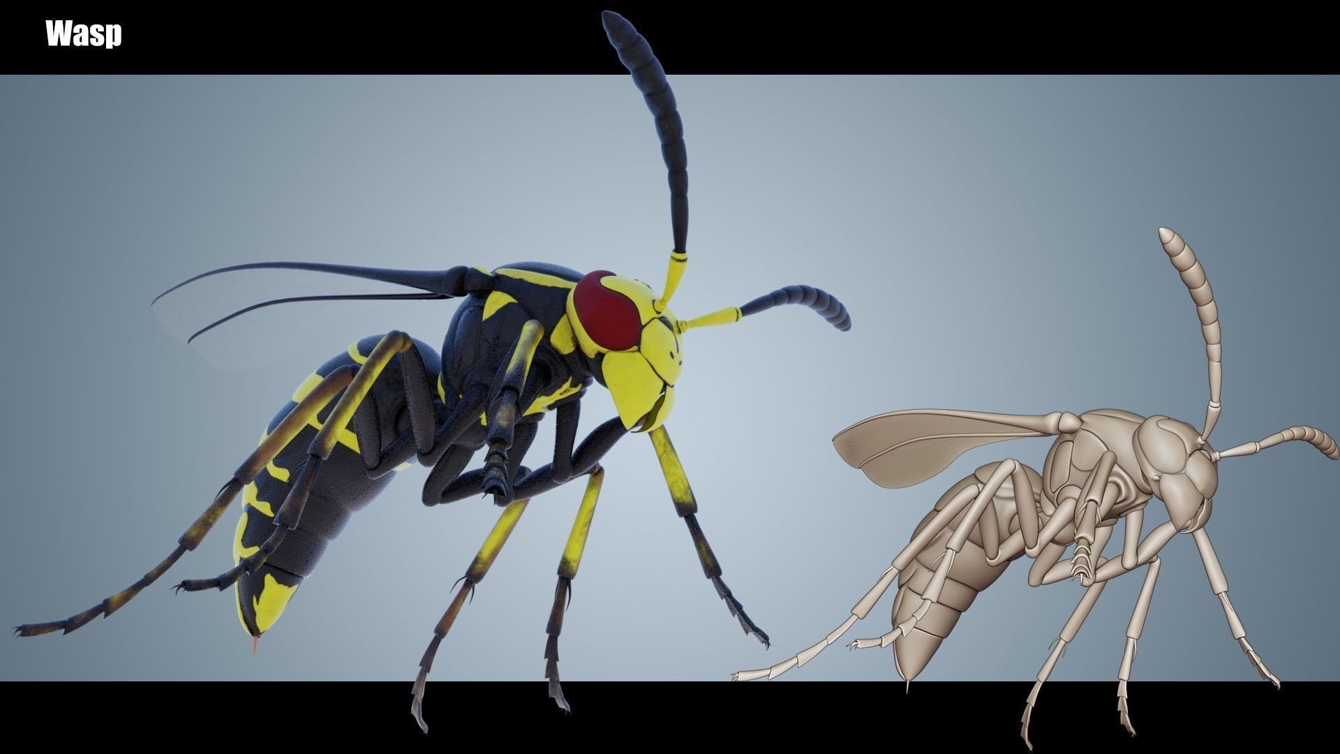 Wasp Insect Low-poly 3D model_6