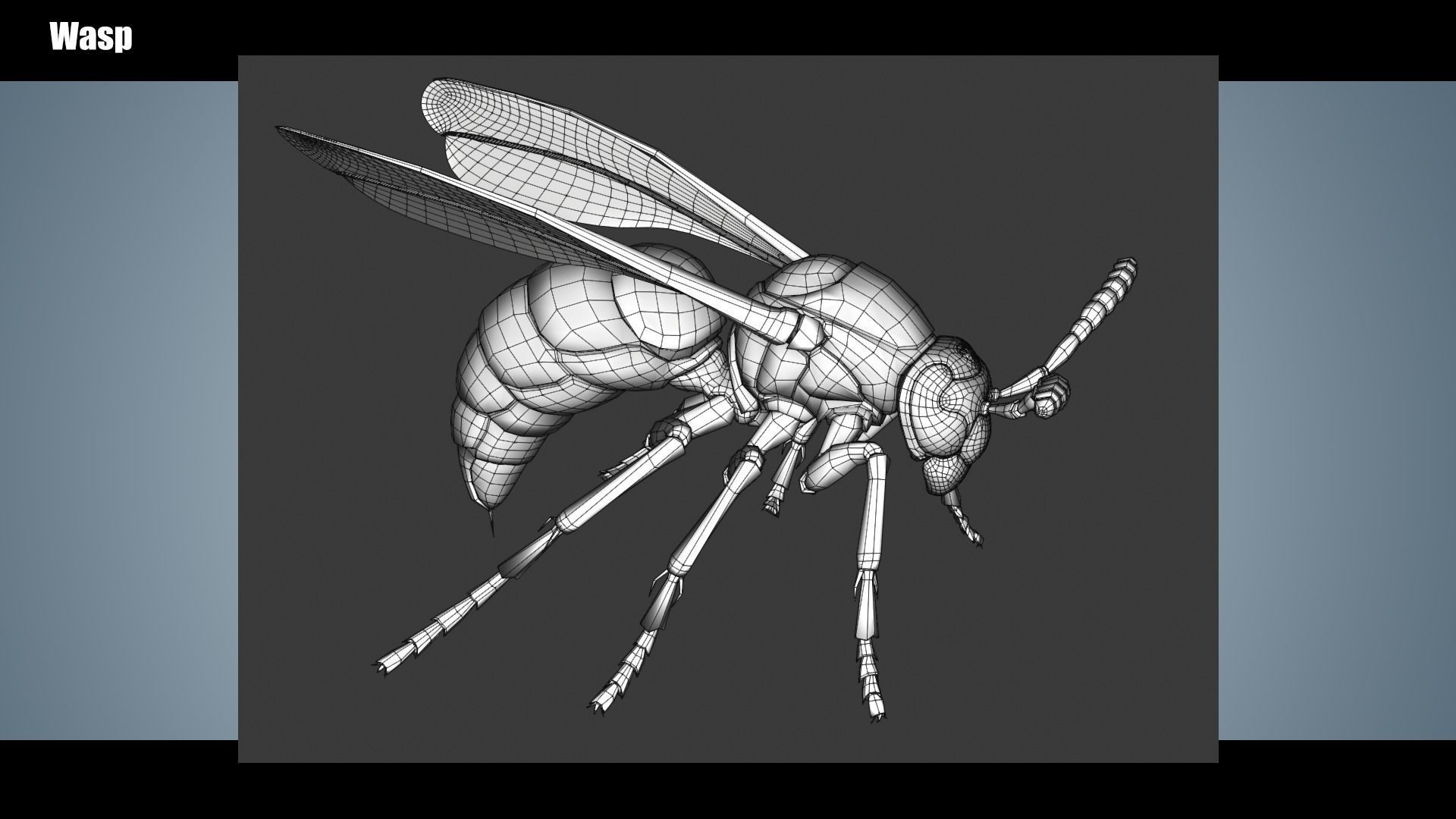 Wasp Insect Low-poly 3D model_10