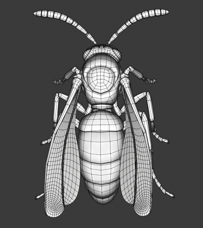 Wasp Insect Low-poly 3D model_48