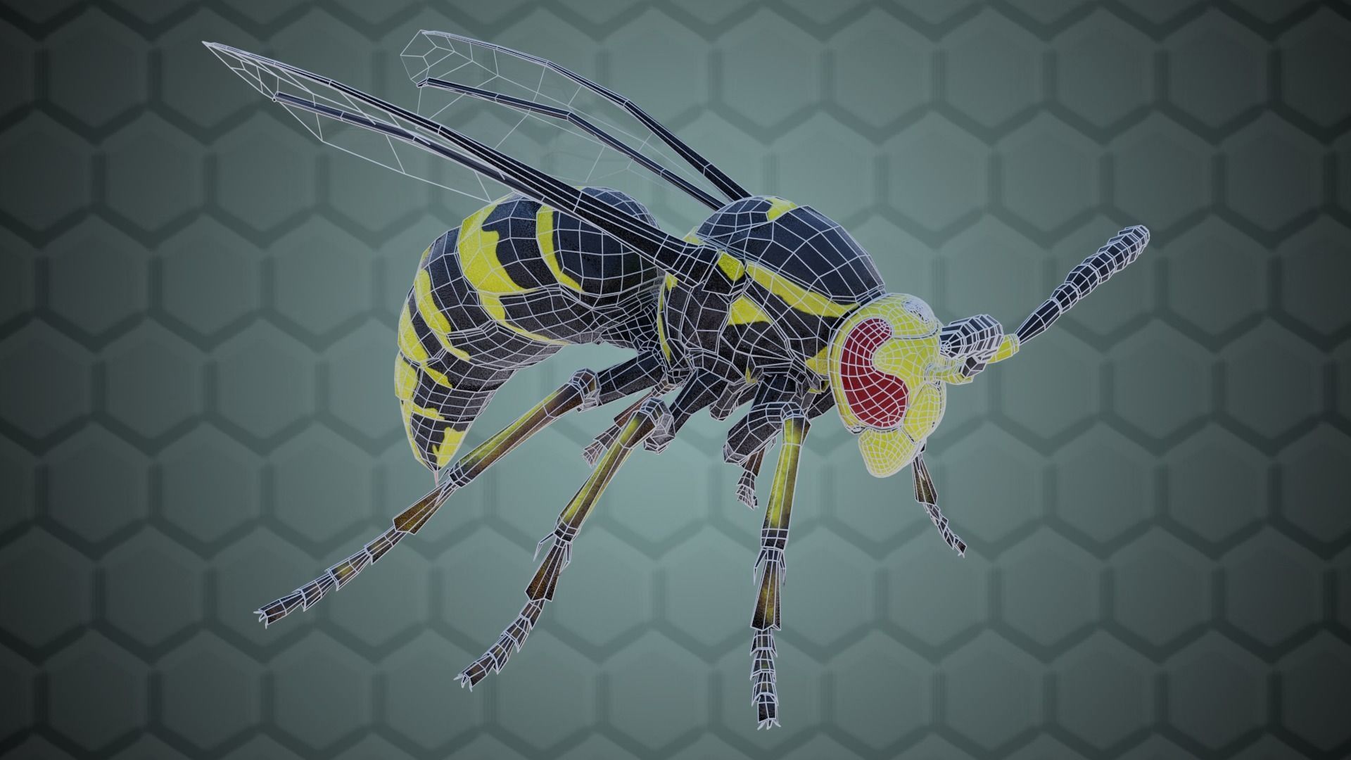 Wasp Insect Low-poly 3D model_23