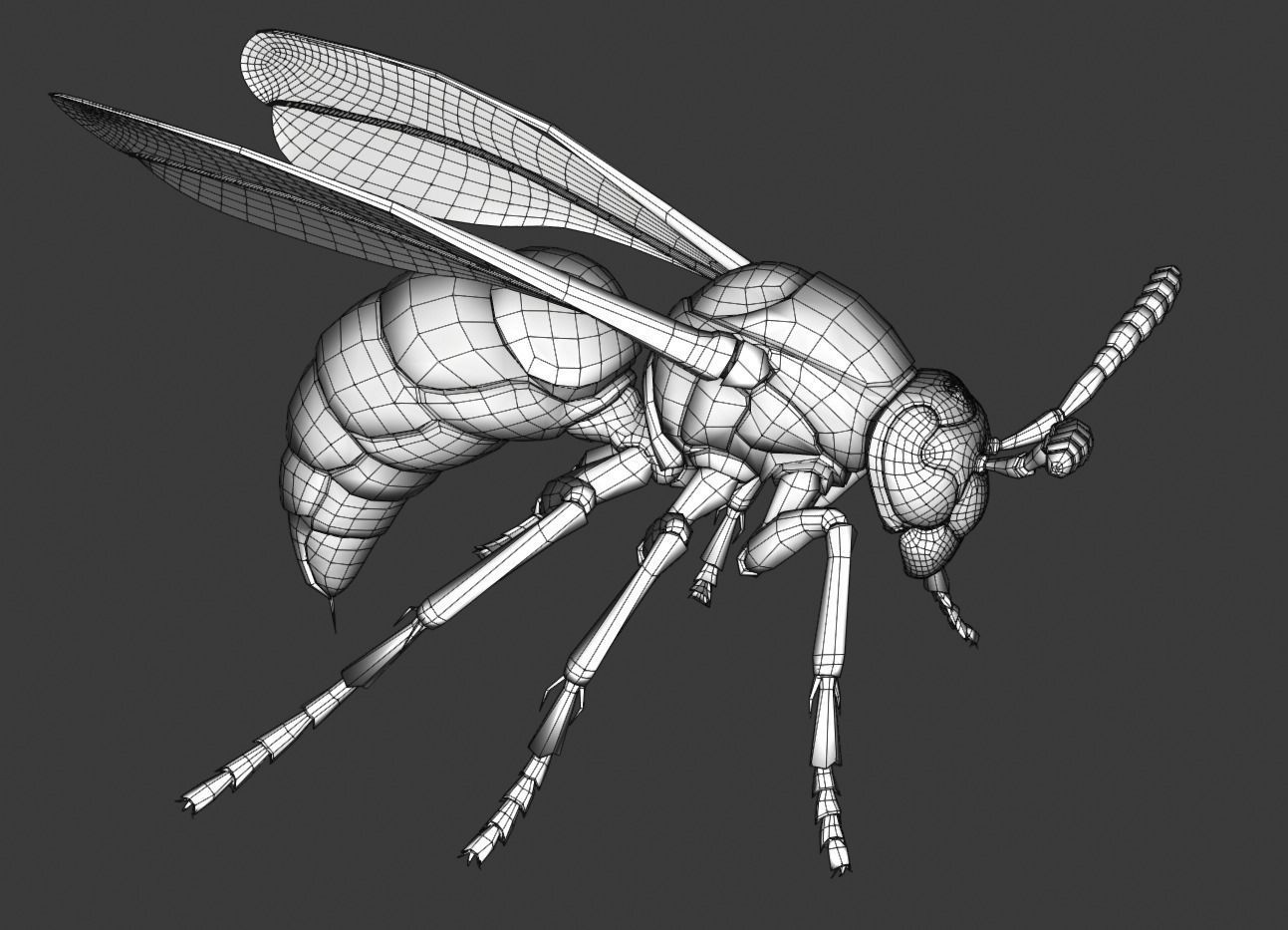 Wasp Insect Low-poly 3D model_43