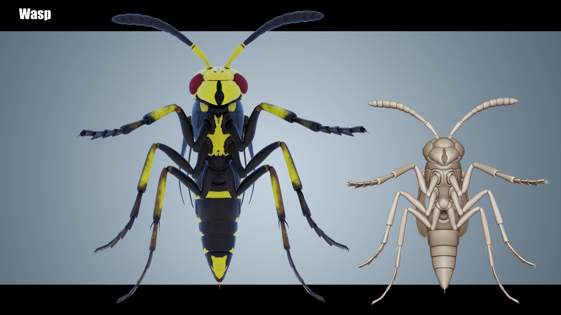 Wasp Insect Low-poly 3D model_3