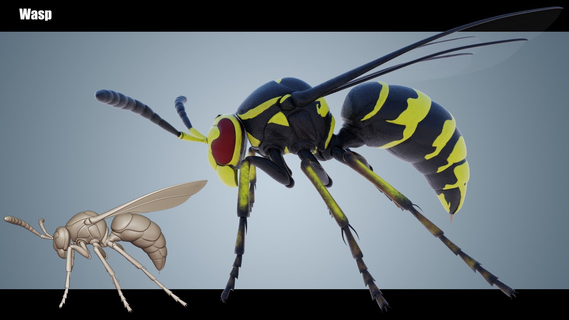 Wasp Insect Low-poly 3D model_4