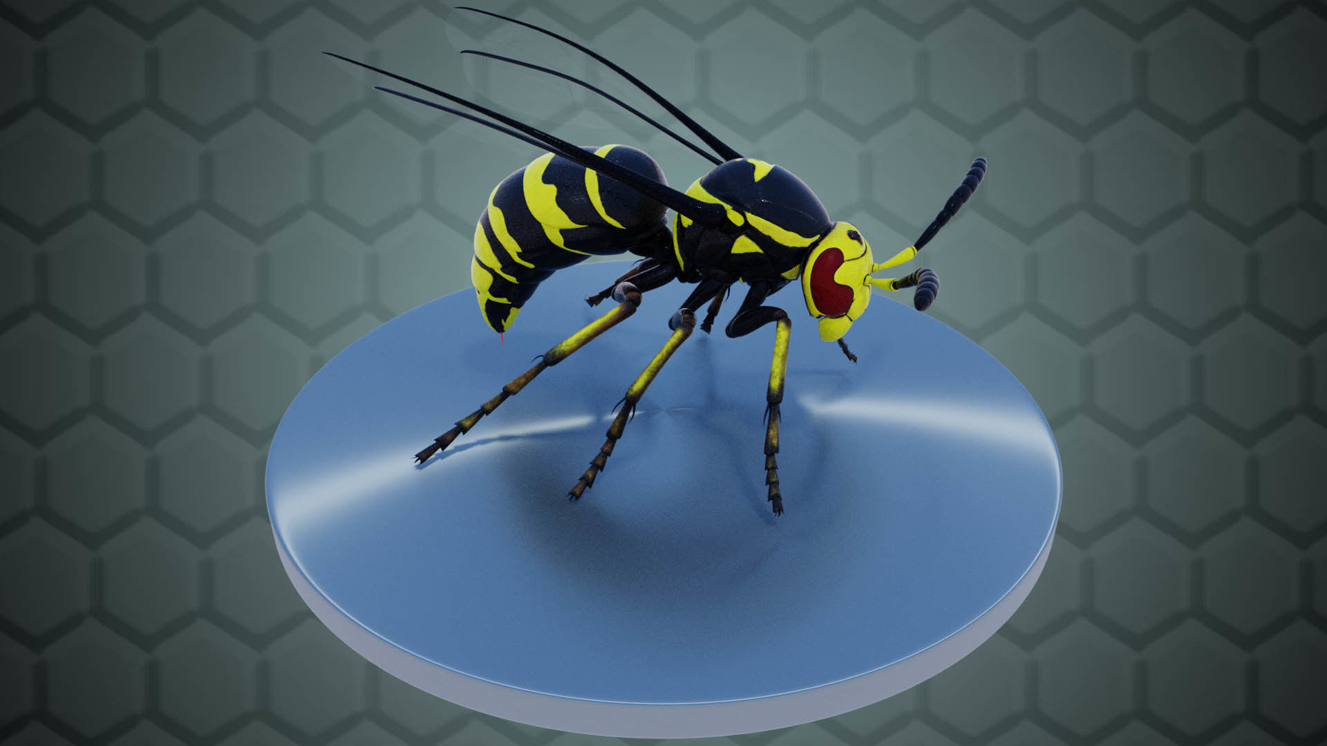 Wasp Insect Low-poly 3D model_13