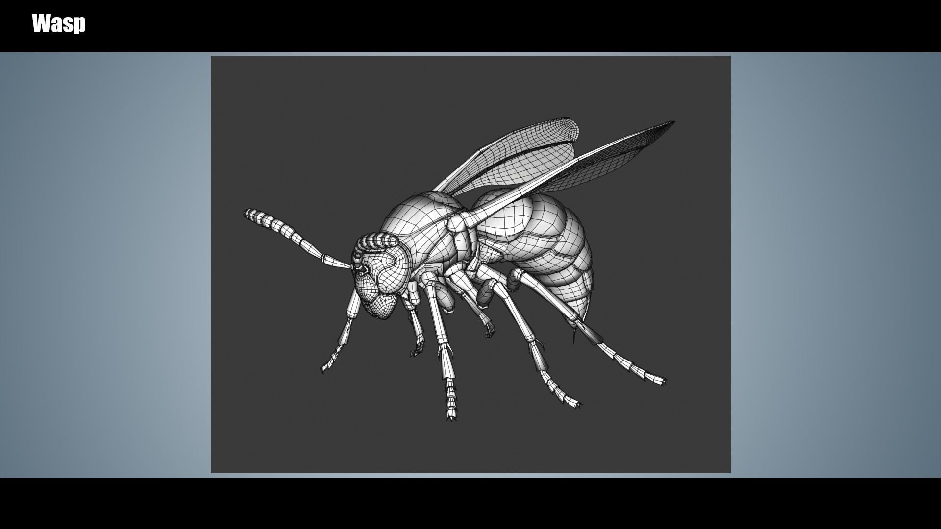 Wasp Insect Low-poly 3D model_9