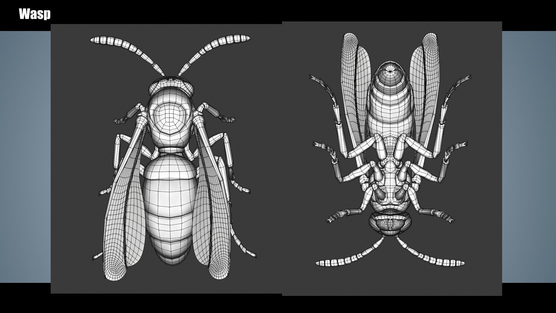 Wasp Insect Low-poly 3D model_12
