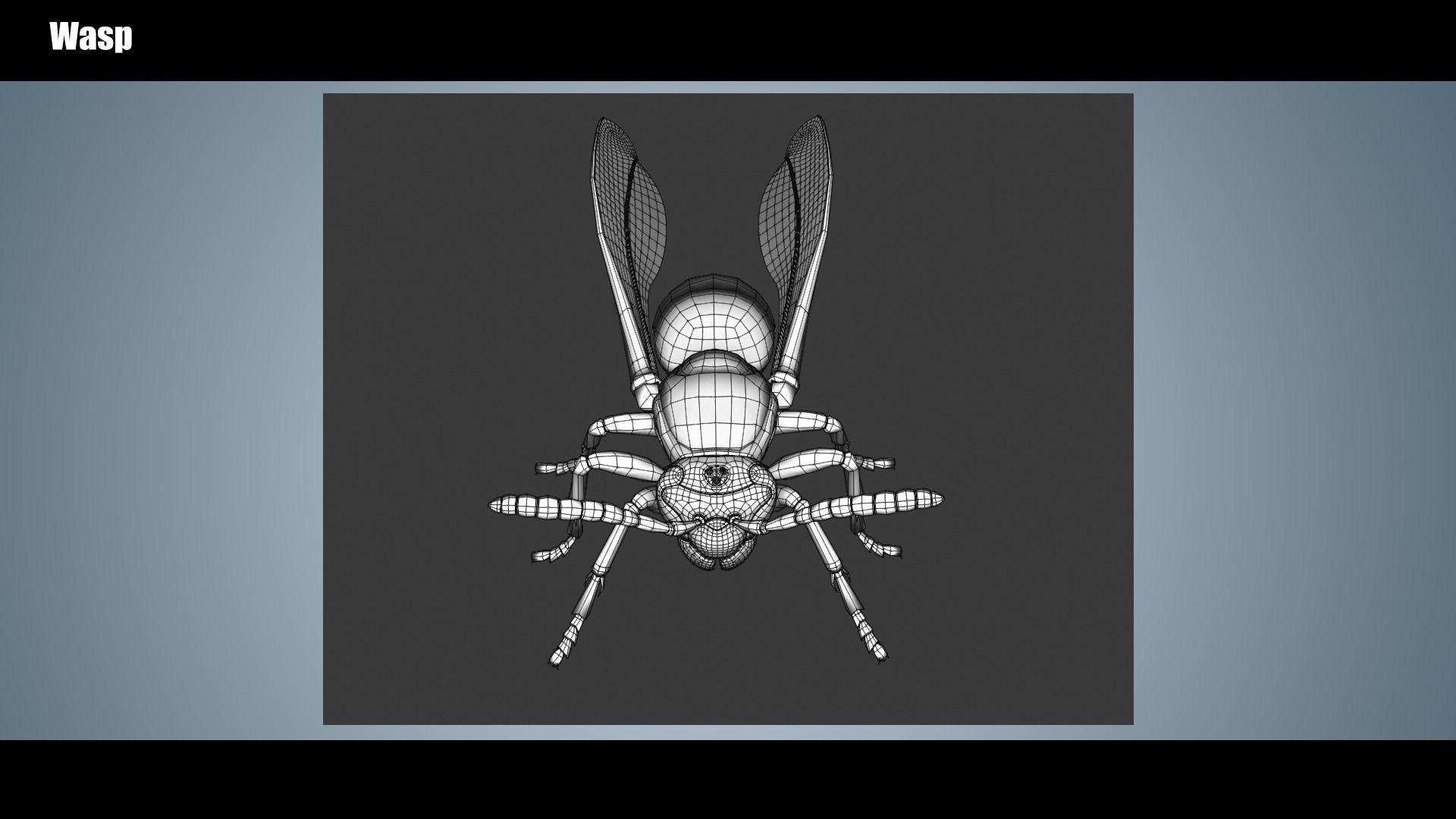 Wasp Insect Low-poly 3D model_8