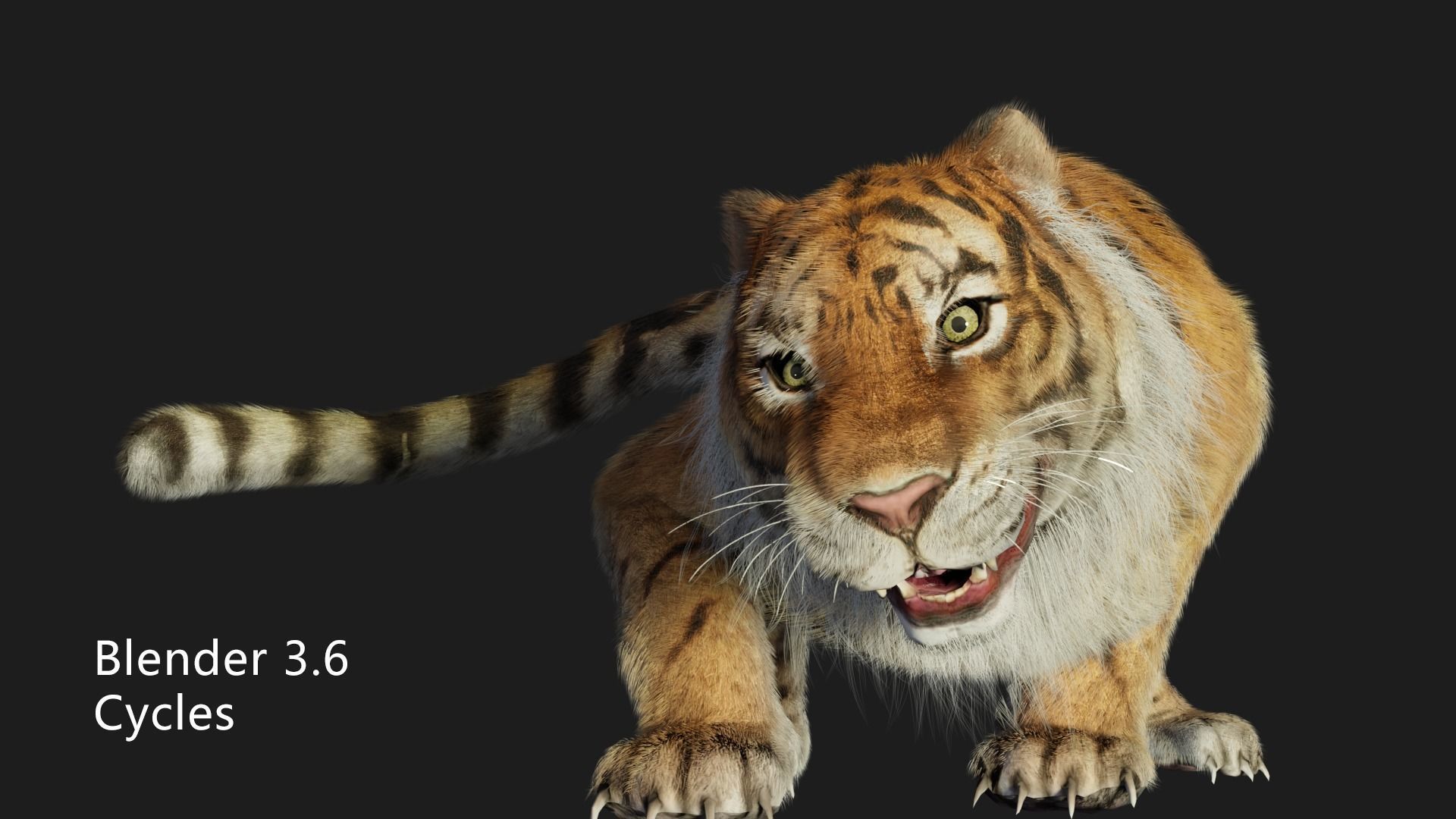 rigged tiger wild cat beast  Low-poly 3D model_4