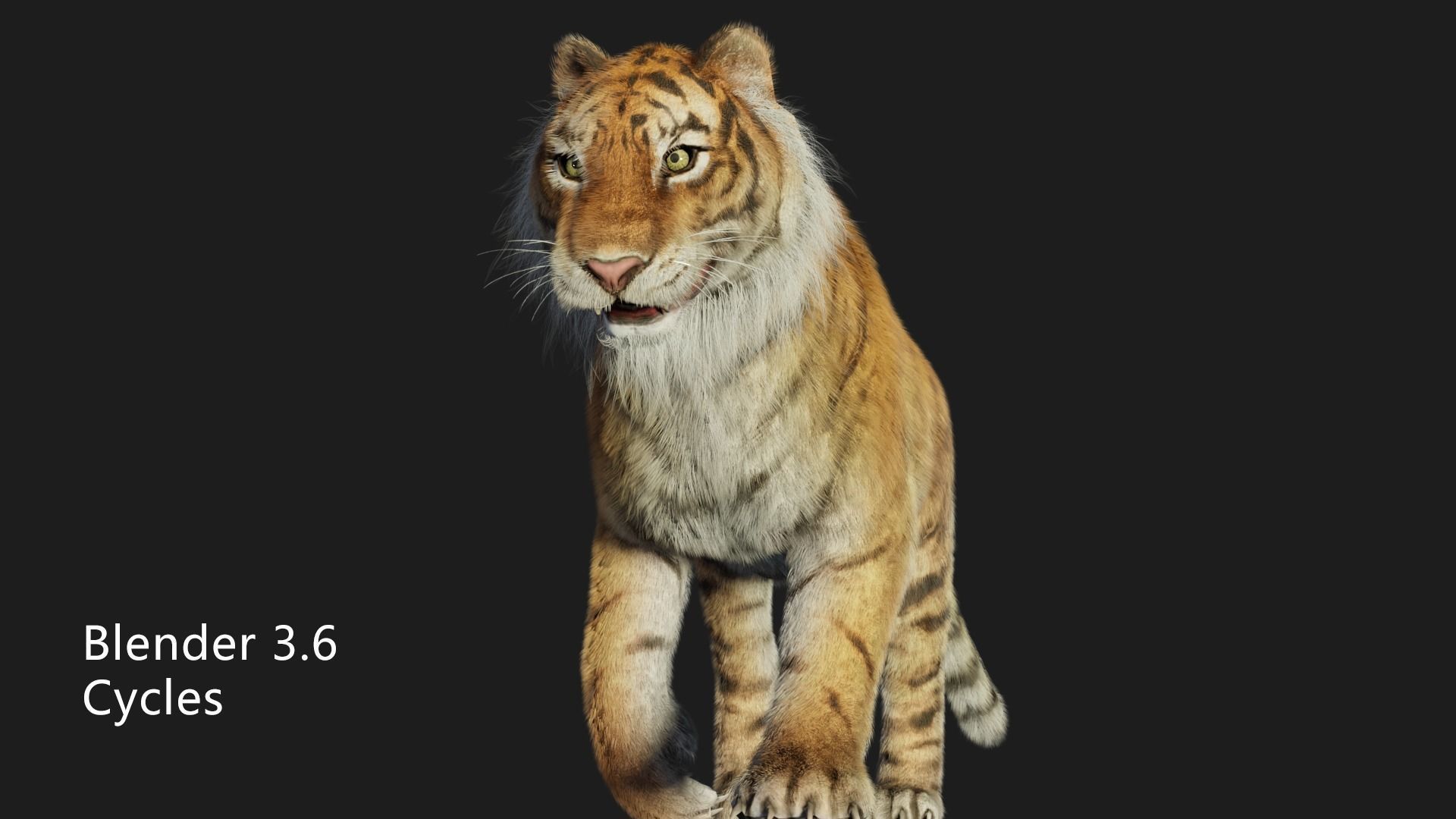 rigged tiger wild cat beast  Low-poly 3D model_3