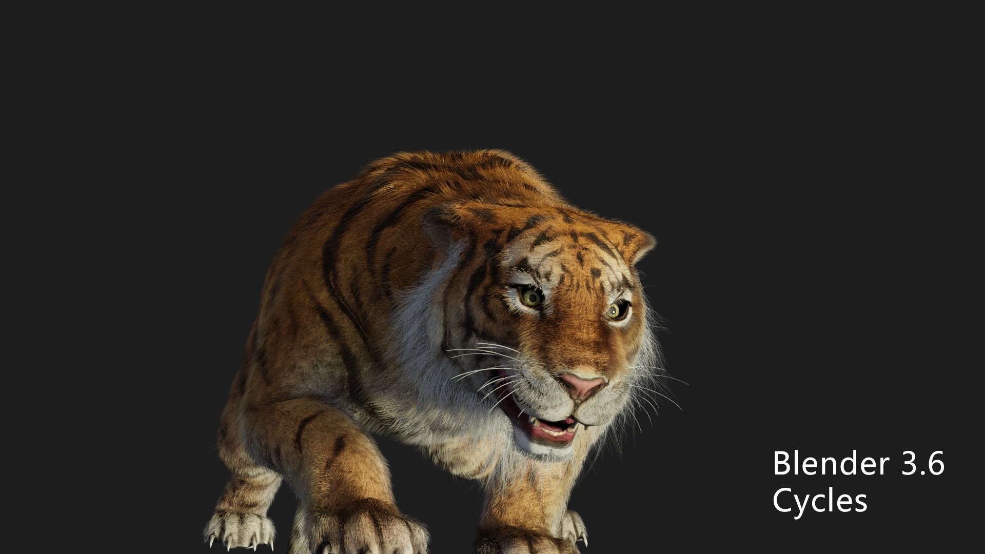 rigged tiger wild cat beast  Low-poly 3D model_6