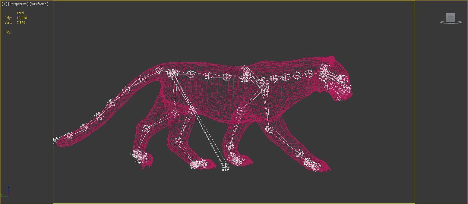 rigged tiger wild cat beast  Low-poly 3D model_15