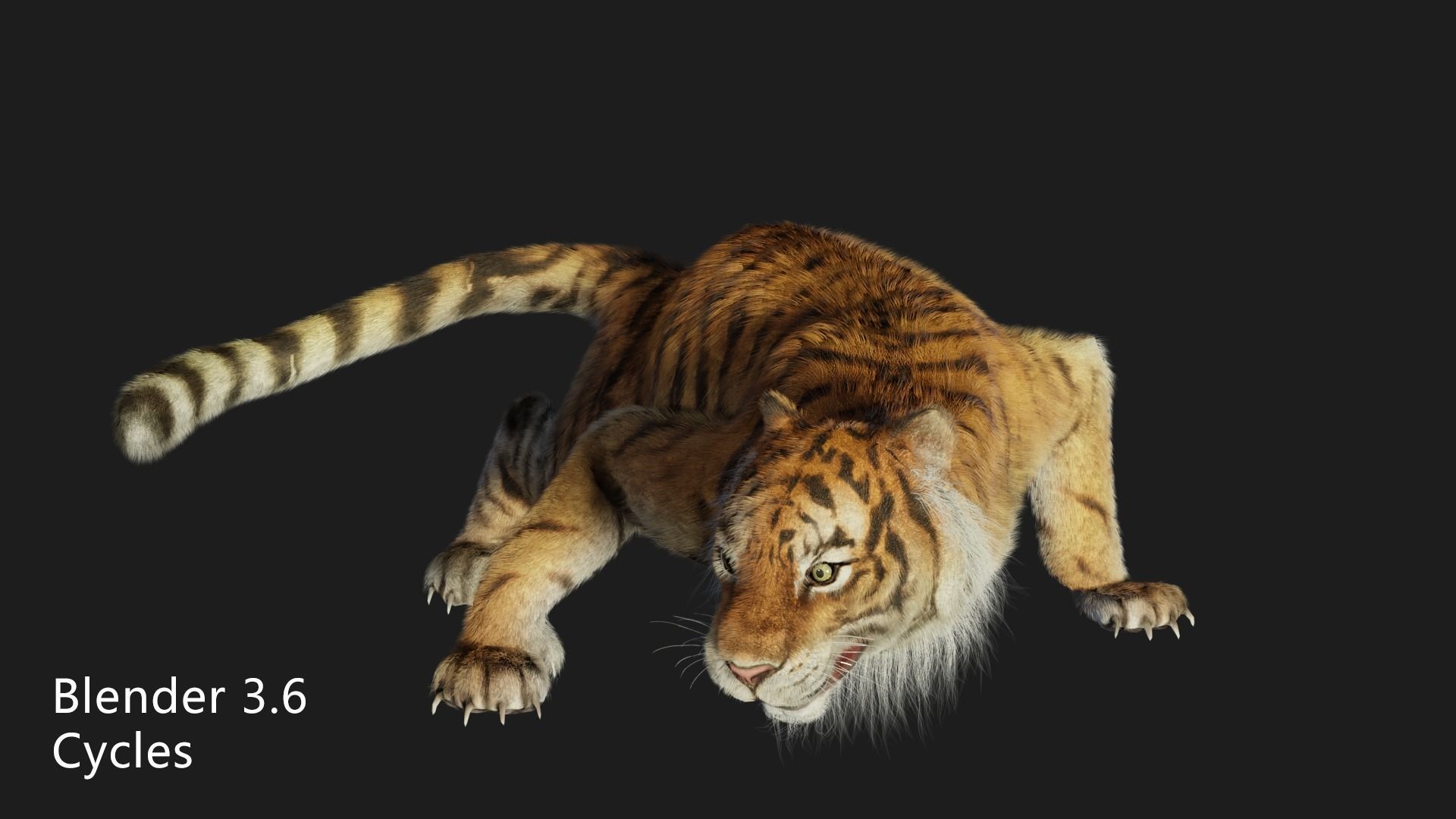 rigged tiger wild cat beast  Low-poly 3D model_5