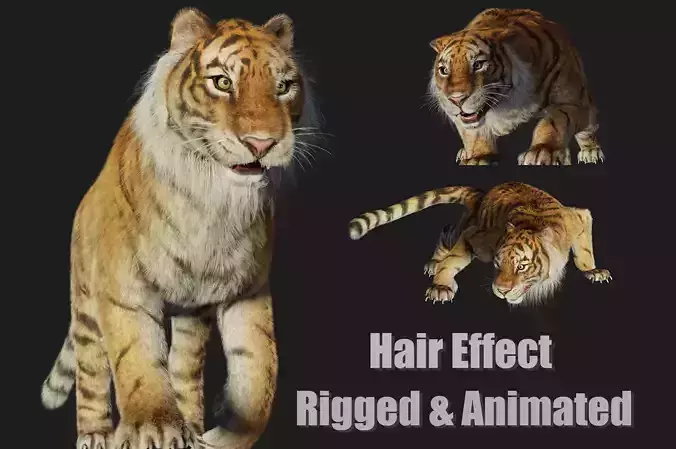 rigged tiger wild cat beast  Low-poly 3D model
