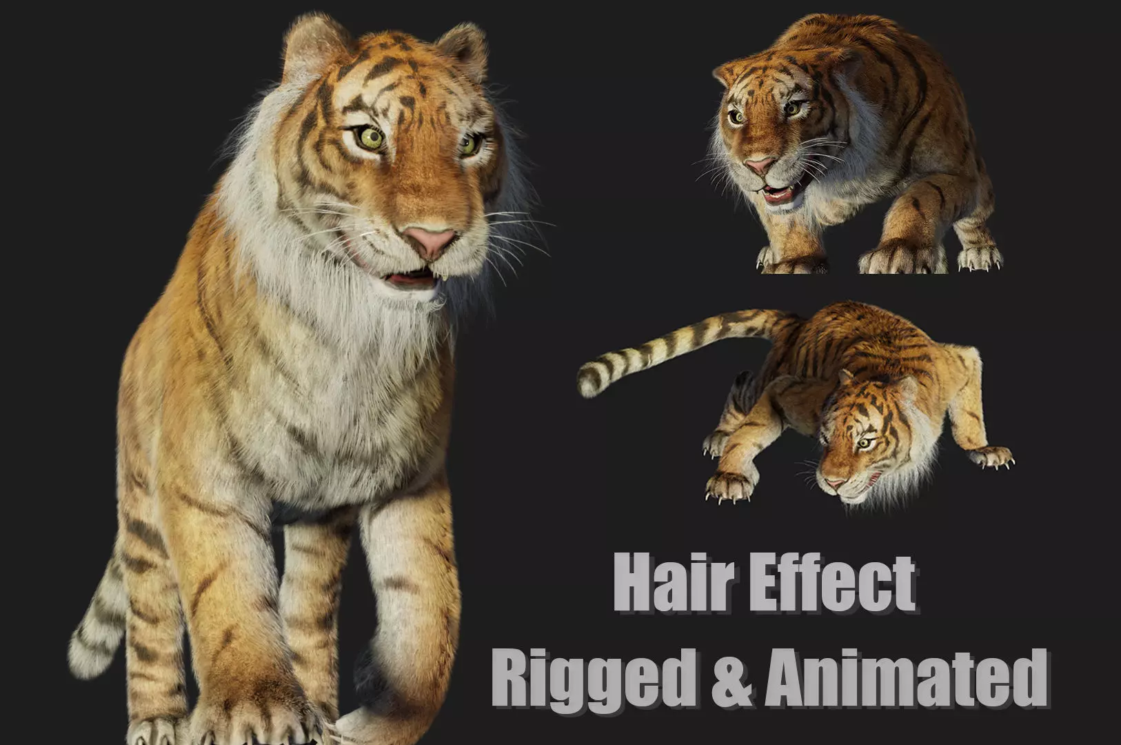 rigged tiger wild cat beast  Low-poly 3D model_0