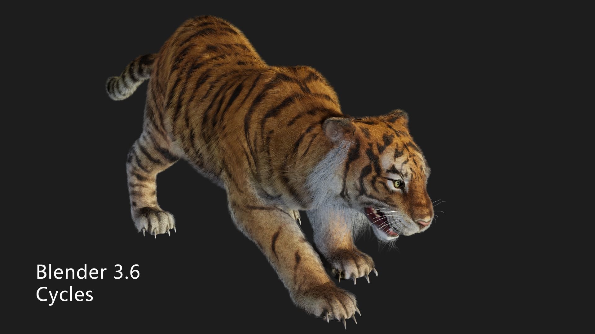 rigged tiger wild cat beast  Low-poly 3D model_7