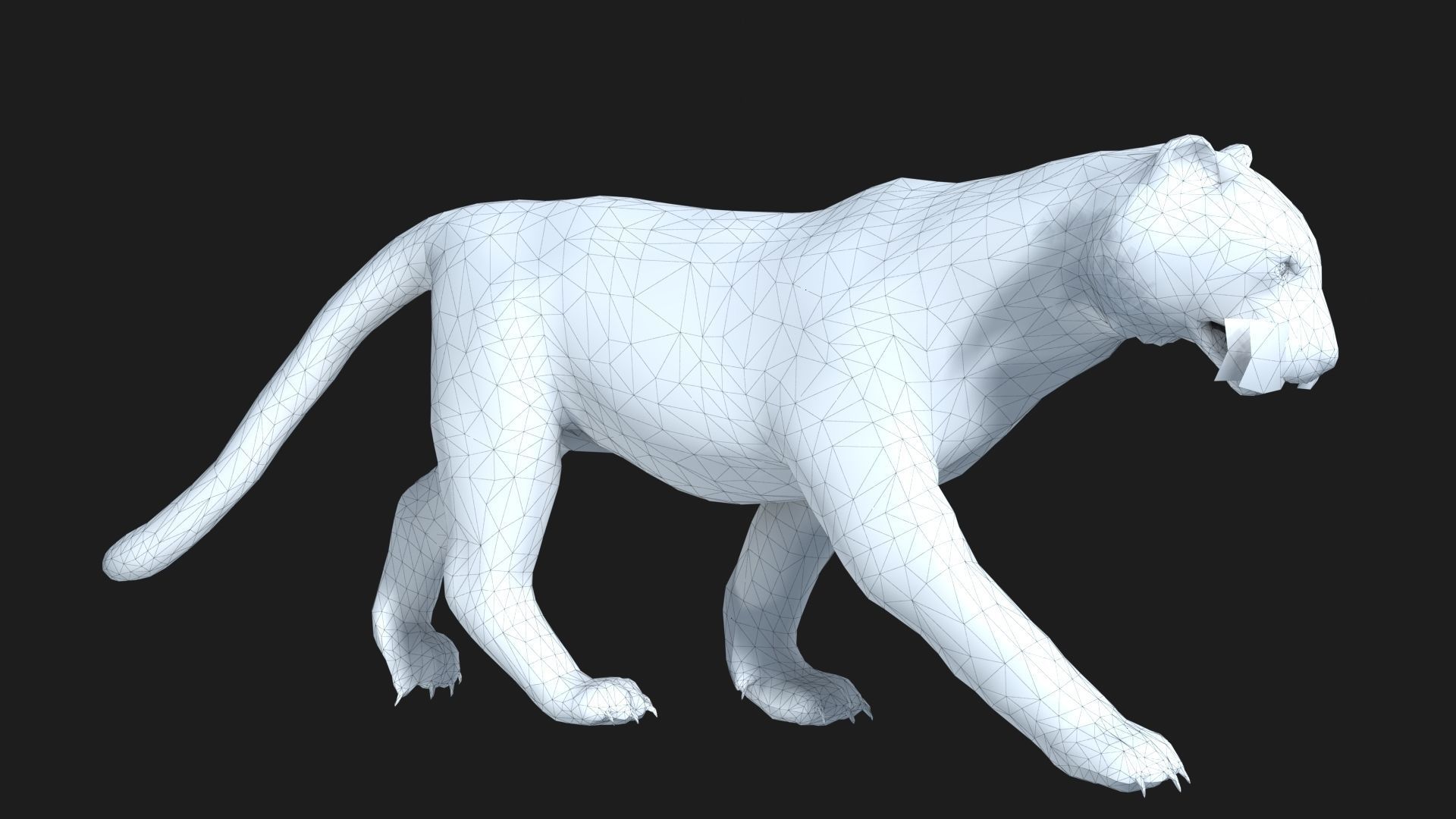 rigged tiger wild cat beast  Low-poly 3D model_14
