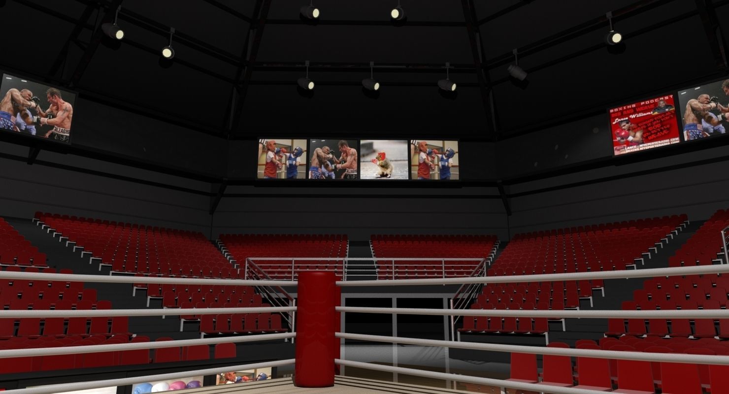 Boxing Arena 3D model 3D model_5